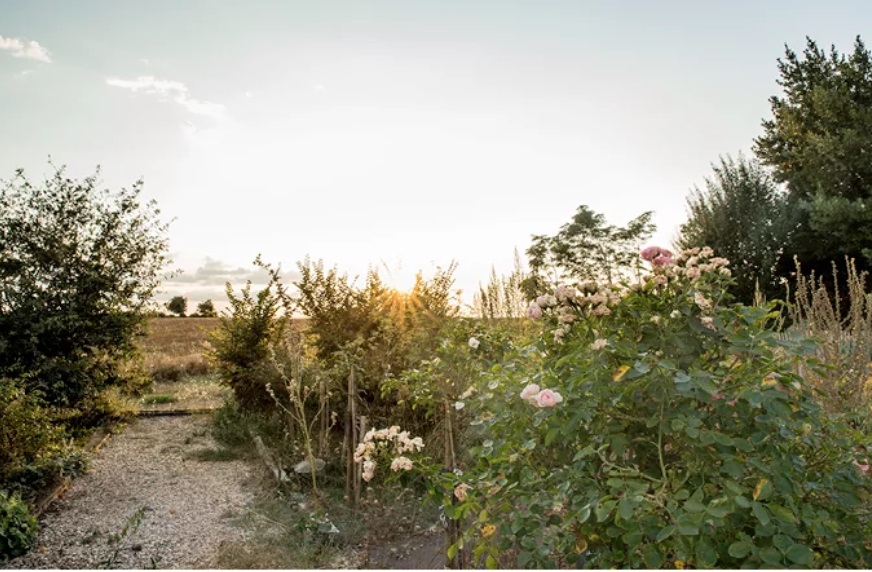 inventaire végétal gourmandisesvagabondes