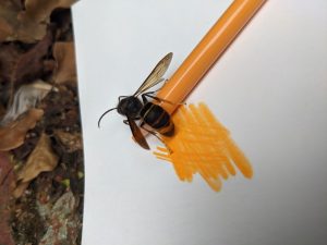 Relever & révéler ateliers 2