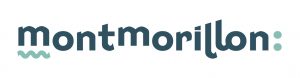 Ville de Montmorillon