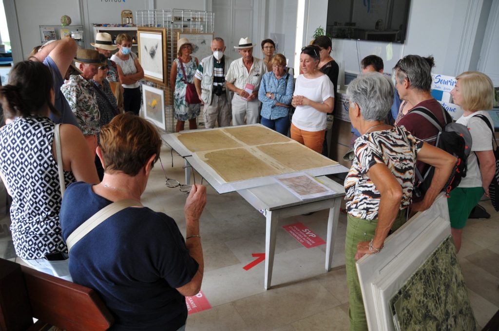 Entre le plan et le terrain, découverte de Montmorillon de 1838 à nos jours - Béatrice GUYONNET